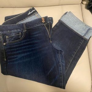 American Eagle Artist Crop size 18 Like new!